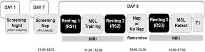 Differential Effects of a Nap on Motor Sequence Learning-Related Functional Connectivity Between Young and Older Adults